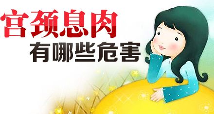 成都棕南