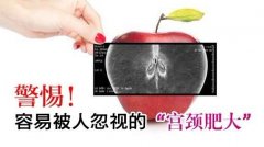 成都棕南医院